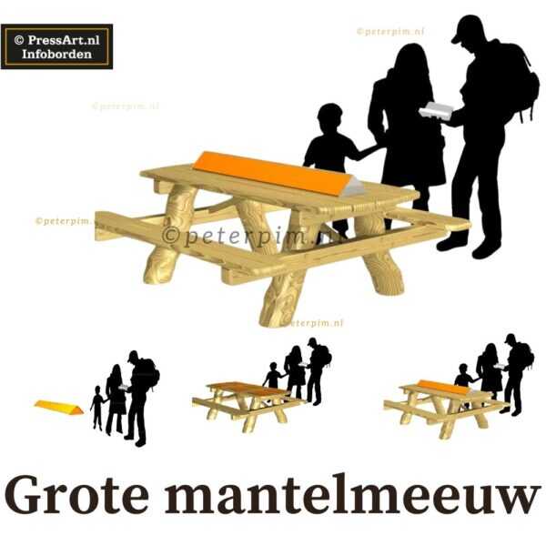 Grote Mantelmeeuw infopicknick